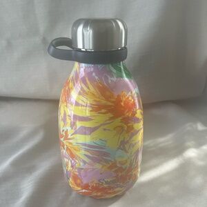 Swell water bottle with handle